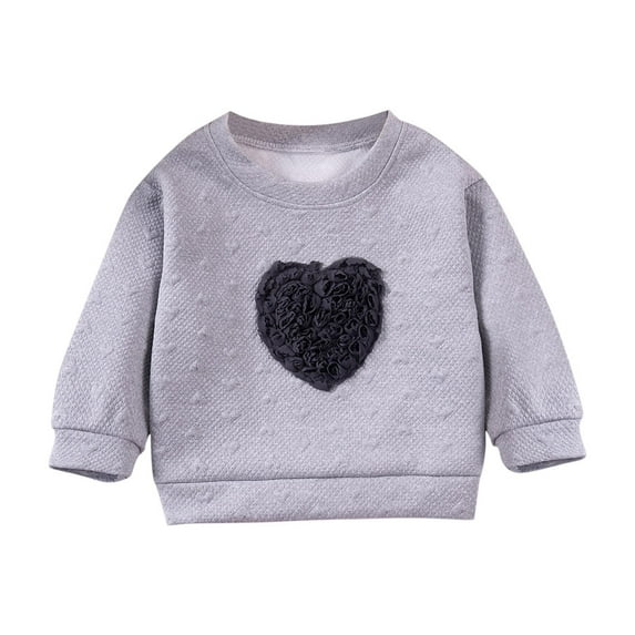 Bxsruta Pullover for Kids, Girls' Round Neck Sweatshirt with Embroidered Rose Design, Long Sleeve Fleece Lined Pullover
