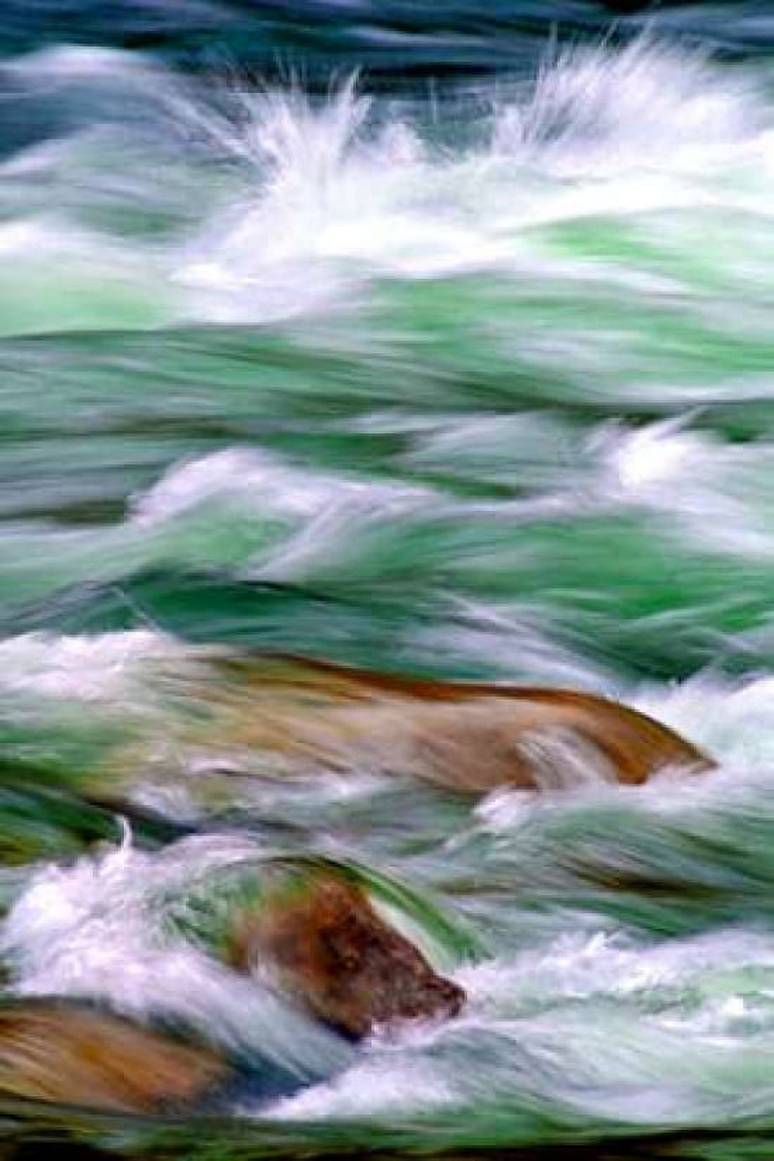 By the River II Canvas Art - Douglas Taylor (12 x 18)