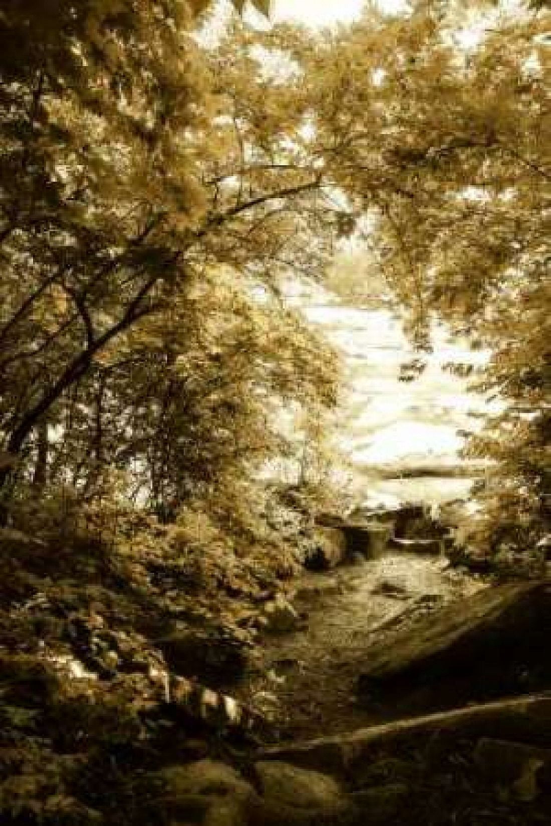 By the River Wide II Canvas Art - Alan Hausenflock (20 x 28)
