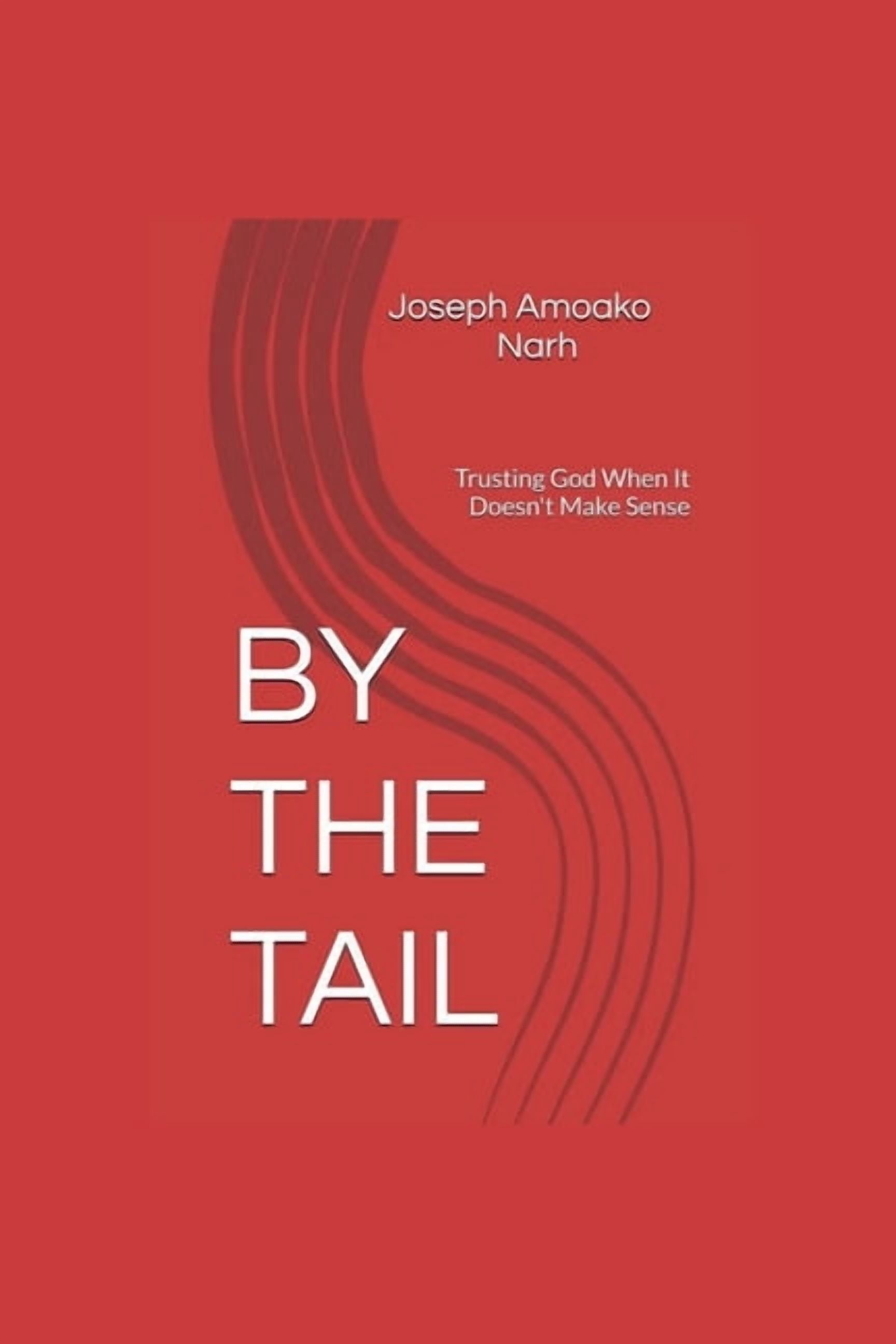 By the Tail: Trusting God When It Doesn't Make Sense, (Paperback)