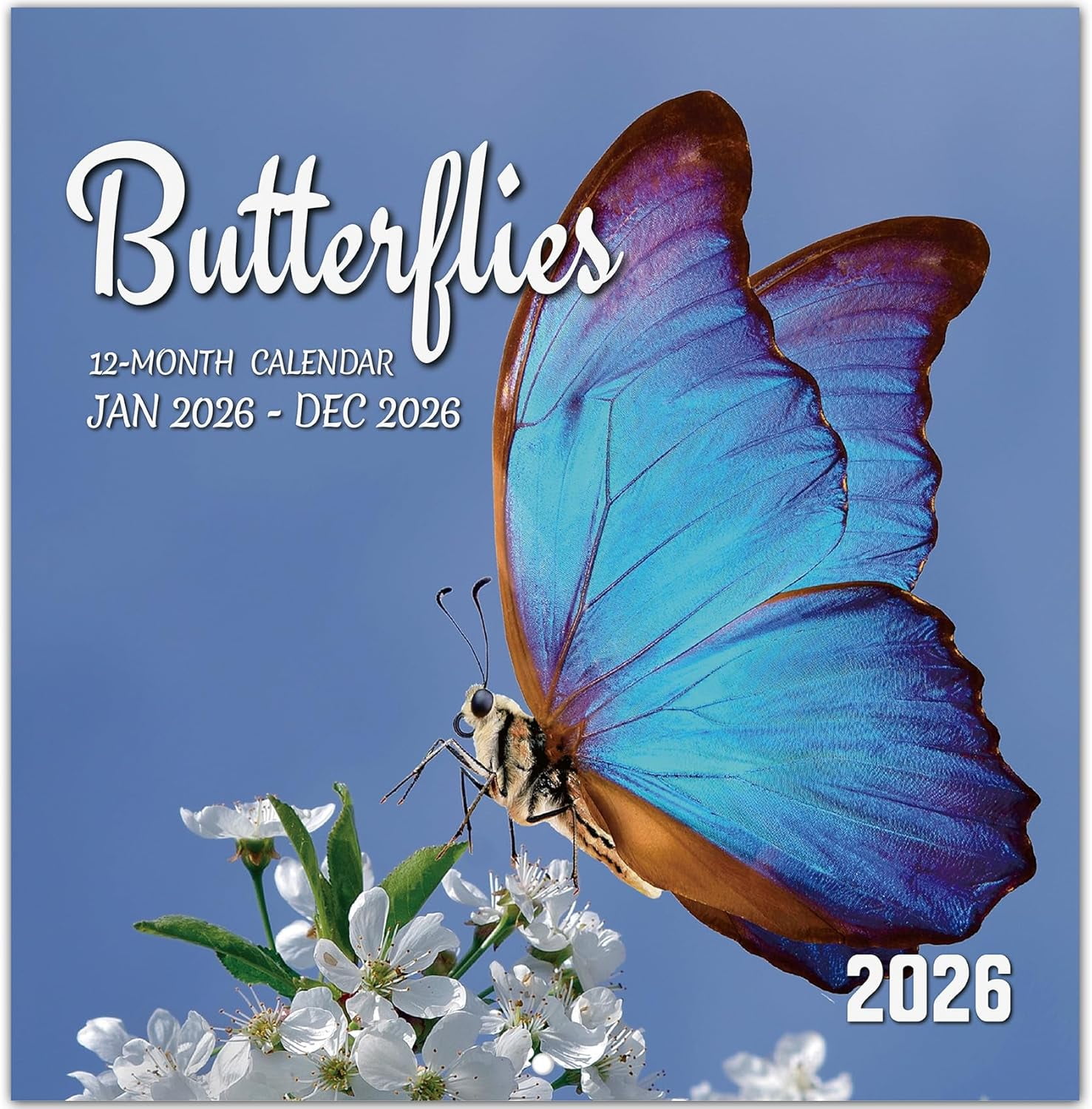 Bybiment 2026 Calendar Butterflies Monthly Wall Calendar 2026 Runs Bybiment 2026 Calendar Butterflies Monthly Wall Calendar 2026 Runs From Nov 2025 To Dec 2026 Hanging Wall Calendar 11 6 24 Full Page Layout 86cdbae0 2f8c 49dd 9236 