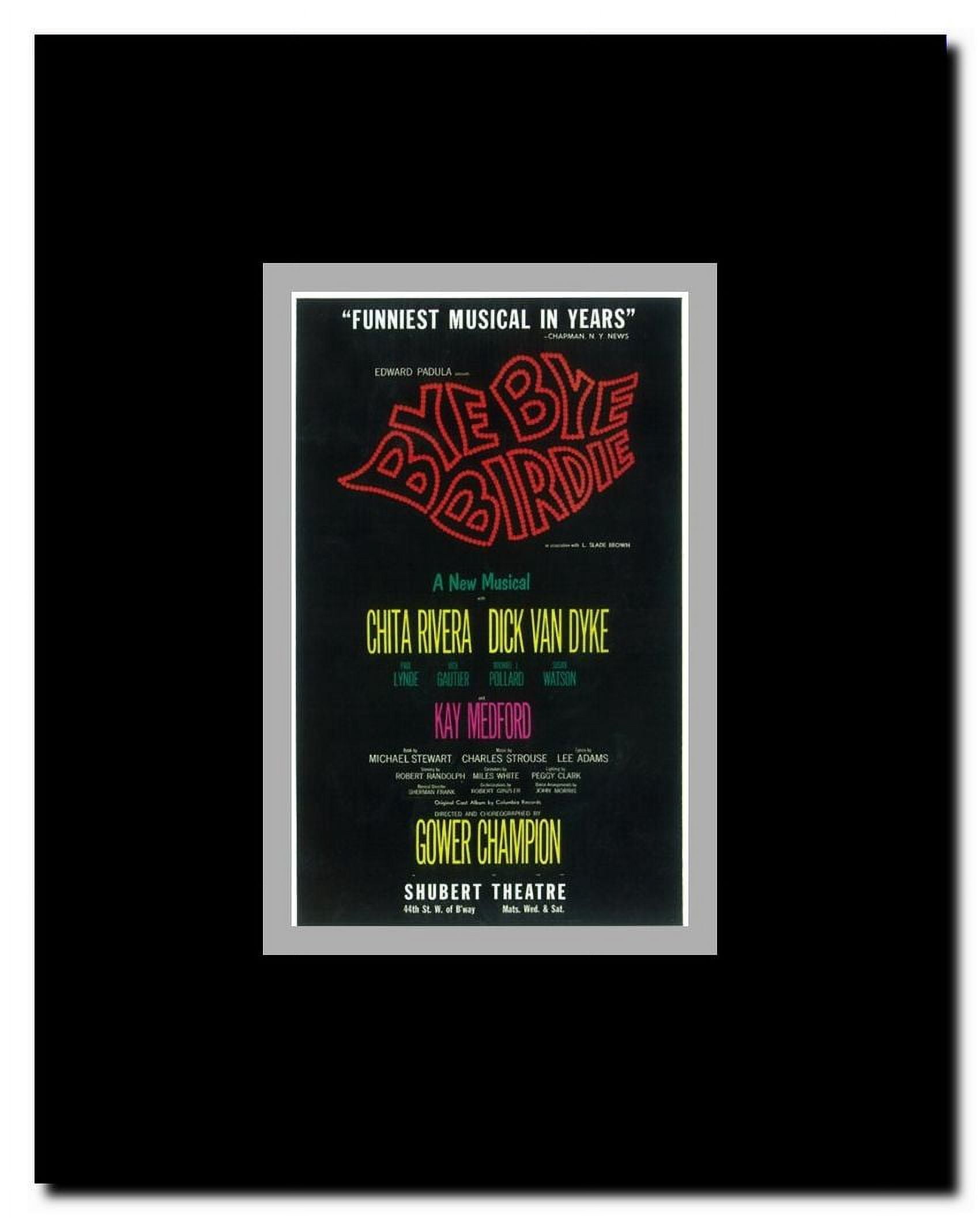 Bye Bye Birdie (Broadway) Framed Movie Poster