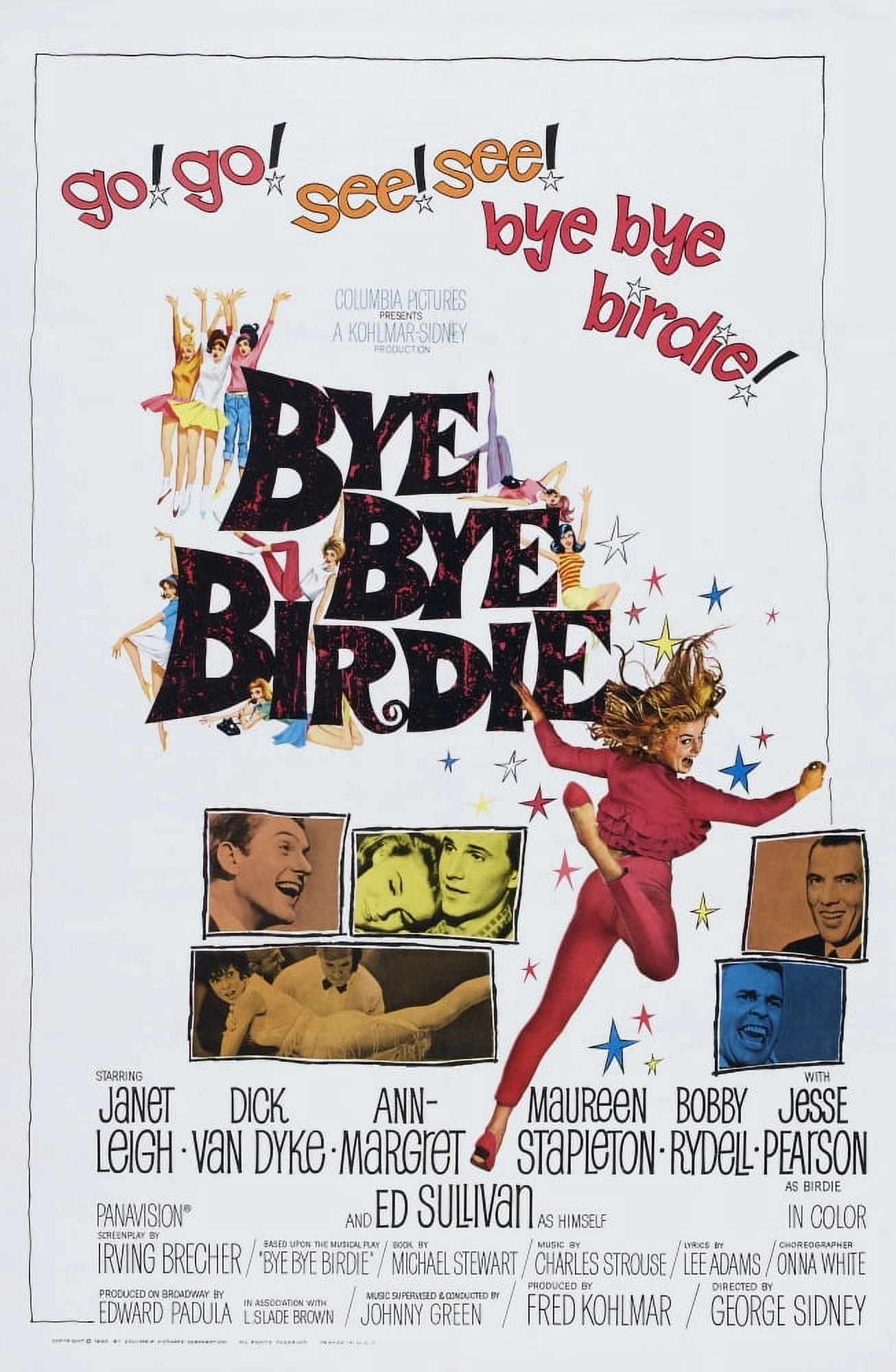 Bye Bye Birdie Canvas Art - (11 x 17)
