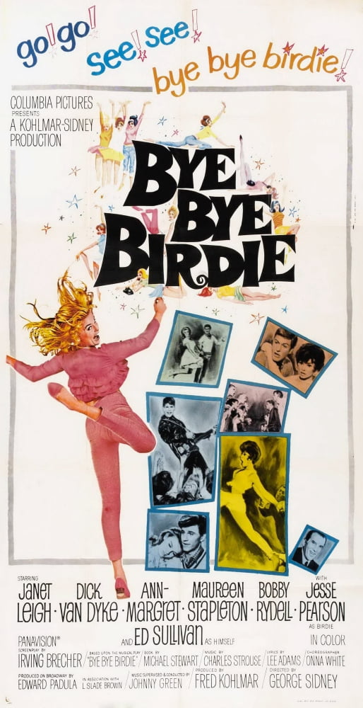 Bye Bye Birdie Canvas Art - (11 x 17)