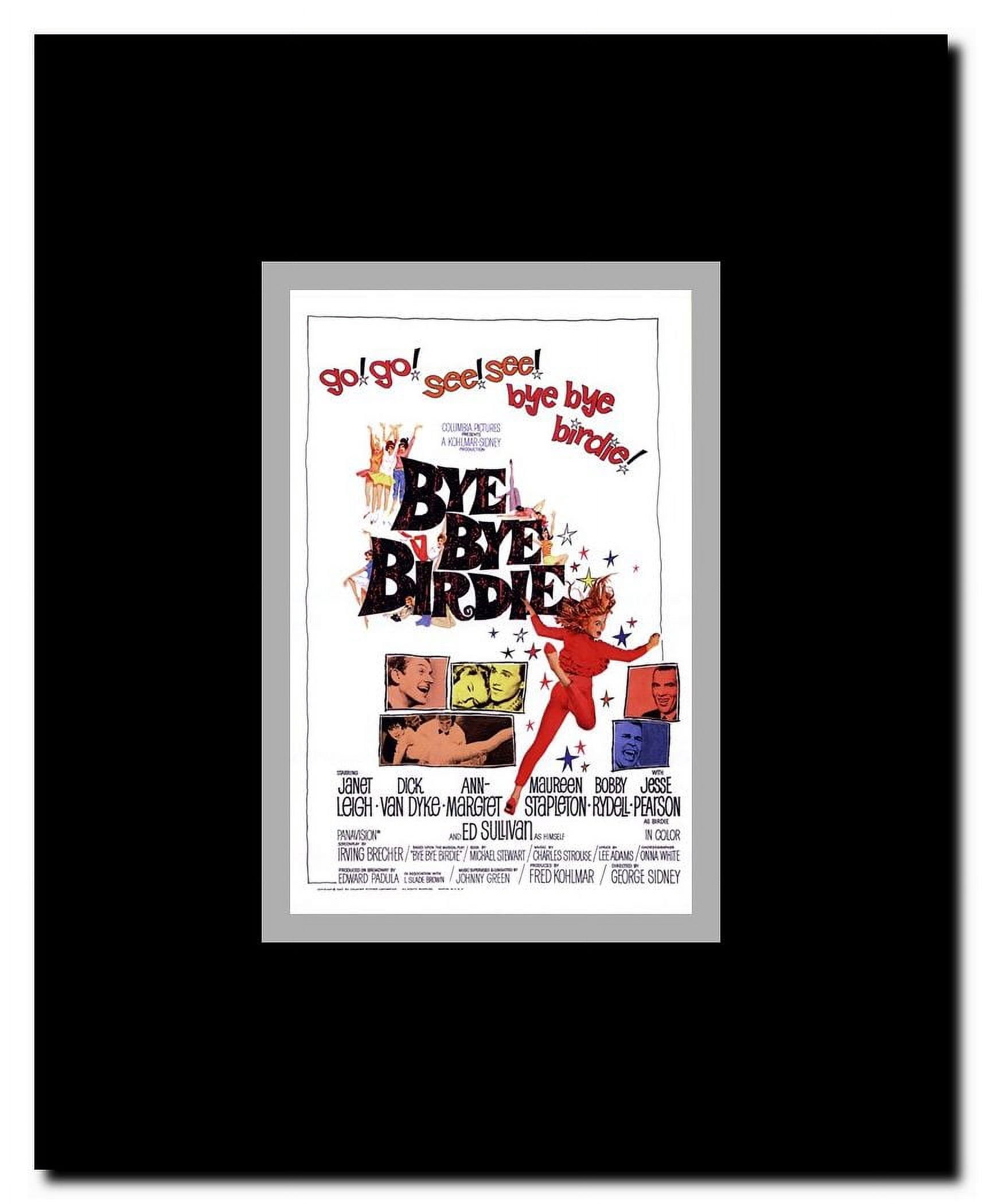 Bye Bye Birdie Framed Movie Poster