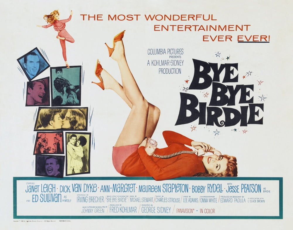 Bye Bye Birdie U Canvas Art -  (28 x 22)
