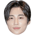 thumbnail image 1 of Byeon Woo Seok (Dark Hair) Big Head. Larger than life mask., 1 of 6