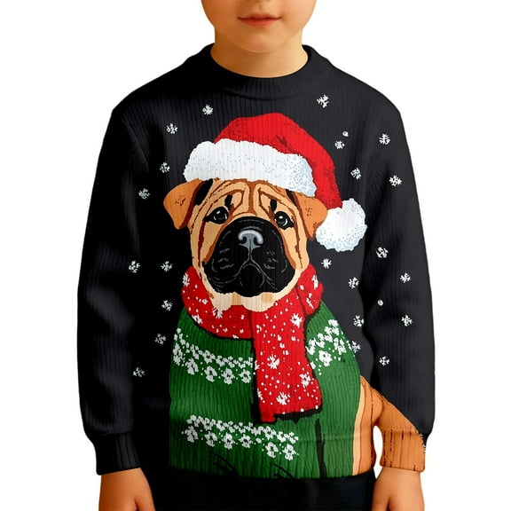Byoo Big Boys Sweatshirt Christmas Dog Graphic Ribbed Knit Full Sleeved Soft Pullover Sweater Xmas Cozy Cloth for Children