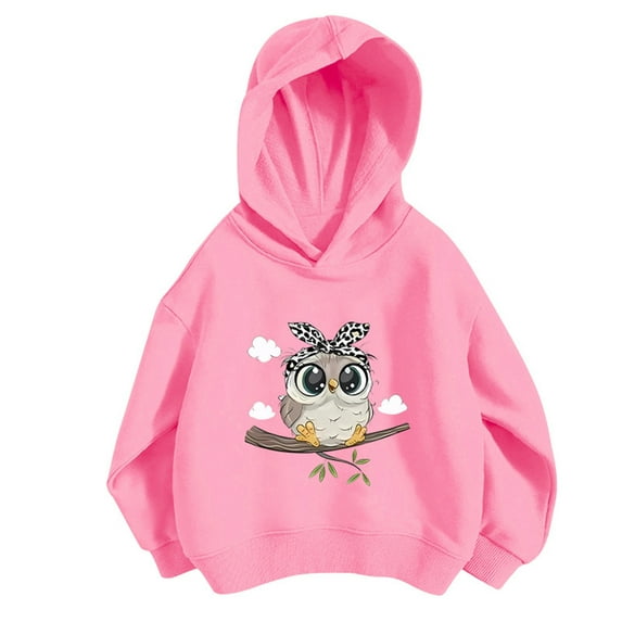 Byoo Big Girls Hoodie Cute Cartoon Owl Print Casual Hooded Sweatshirt Fall Pullover Top