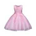 thumbnail image 1 of Byoo Carnival Party Gown for Toddler Girls Solid Color Sleeveless Tulle A-Line Soft Evening Maxi Dresses Party Performances Dress Pink, 1 of 4