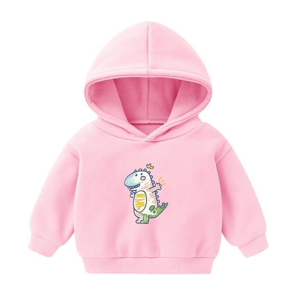 Byoo Hoodie for Newborn Girls Cartoon Dinosaur Print Long Sleeve Hooded Sweatshirt Cute Casual Daily Pullover Top