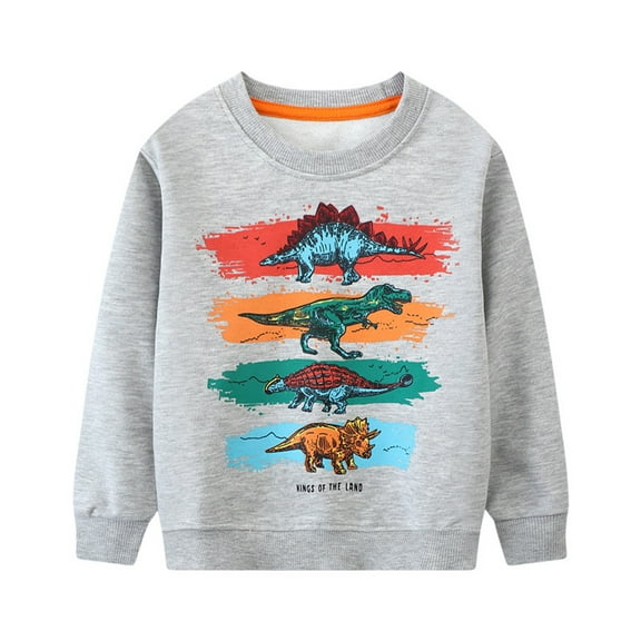 Byoo Boys Dinosaur Hoodie Long Sleeve Round Neck Top Fall Casual Loose Pullover