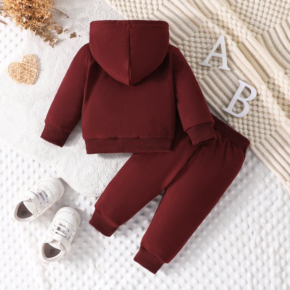 Byoo Letter Graphic Sweatsuit Sets for Newborn Girls Full Sleeved Pullover Hoodie Shirt Pants Sets Casual Sport Tracksuit Sets