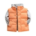 thumbnail image 1 of Byoo Little Boys Solid Vest Padded Stand Collar Thickened Sleeveless Puffer Jacket Winter Warm Down Jacket for Kids, 1 of 4