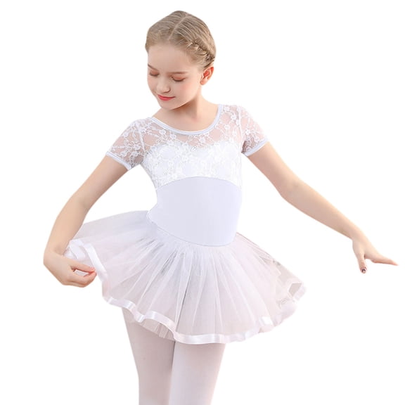 Byoo Little Girls Ballet Dance Leotard Tutu Skirt Outfits Lace Bodysuit Dancewear Set