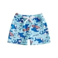 thumbnail image 1 of Byoo Toddler Boy's Built-In Liner Swim Trunks Tropical Print Pool Athletic Shorts Quick Dry Swimwear,Sky Blue, 1 of 2