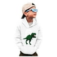 thumbnail image 1 of Byoo Toddler Boys Hoodie Sweatshirts Dinosaur Print Full Sleeve Pullover Hooded Tops Comfortable Cozy Sweatshirt, 1 of 6