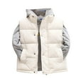 thumbnail image 1 of Byoo Toddler Boys Solid Vest Padded Stand Collar Thickened Sleeveless Puffer Jacket Winter Warm Down Jacket for Kids, 1 of 8