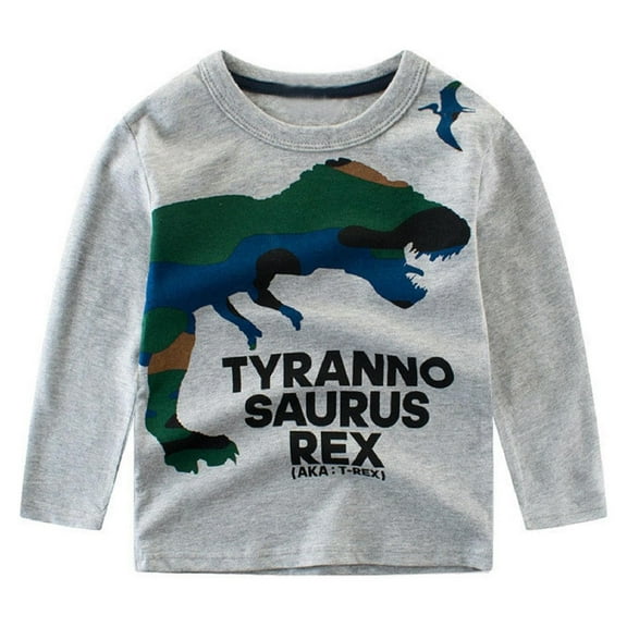 Byoo Toddler Boys Sweatshirt Dinosaur Print Long Sleeve Crewneck T Shirts Soft Comfortable Clothes for Children
