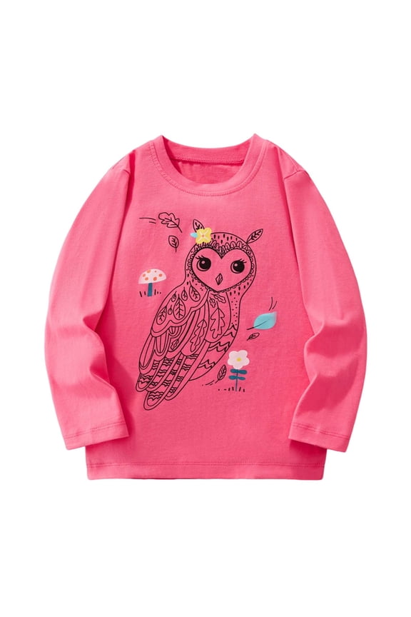 Toddler Girls Graphic Tees Shirts Casual Cute Floral Owl Printed Long Sleeve Pullover Top Kids Basic Funky T Shirts