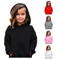 thumbnail image 1 of Byoo Toddler Girls Solid Hoodie Long Sleeve Basic Hooded Sweatshirt Casual Daily Pullover Sweatshirt,Black, 1 of 8