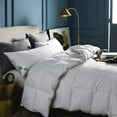 thumbnail image 1 of Byourbed Premium 80% Hungarian Goose Down Comforter - Oversized Bedding Twin - Twin XL, 1 of 5