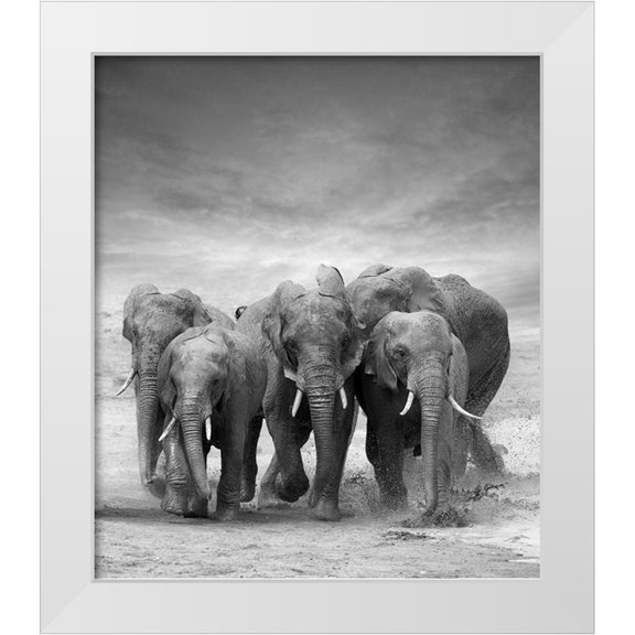 Byrdyak, V. 12x13 White Modern Wood Framed Museum Art Print Titled - Elephant Herd