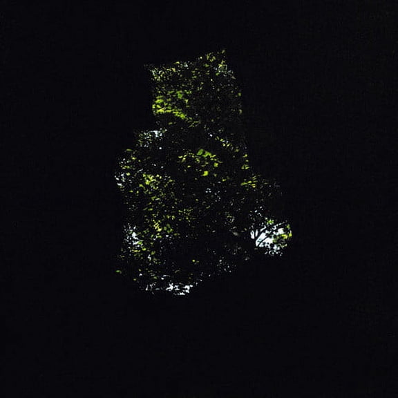 Byron Westbrook - Precipice - Music & Performance - Vinyl