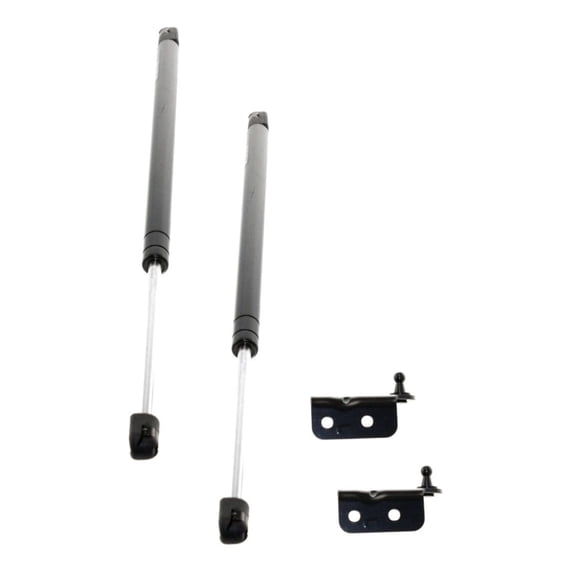Byrxmo 1 Pair Liftgate Glass Lift Supports Driver Passenger Left Right Side Gas Charged for Honda for Passport 1998-2002,for Isuzu for Amigo 1999-2000 for Rodeo 1998-2004 SG326011 IZ1910102