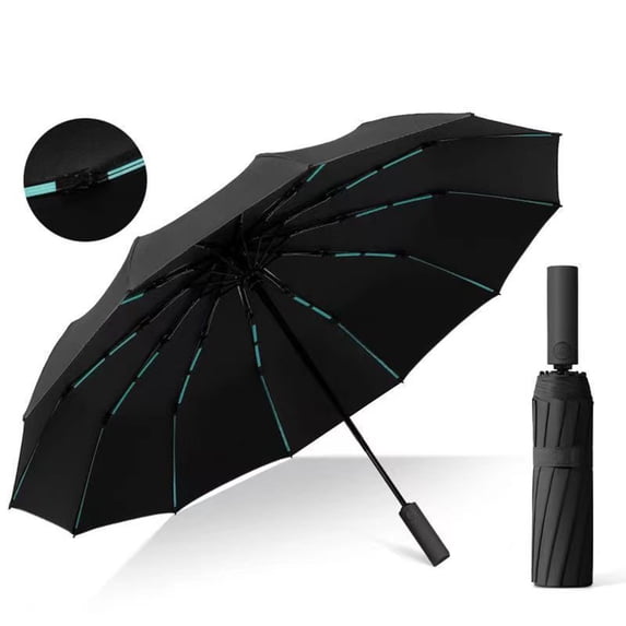 Byujiro Auto Open Close 10-Rib Reinforced Folding Umbrella Sun & Rain Umbrella with Black Rubber Coating Windproof Umbrella for Travel & Commute
