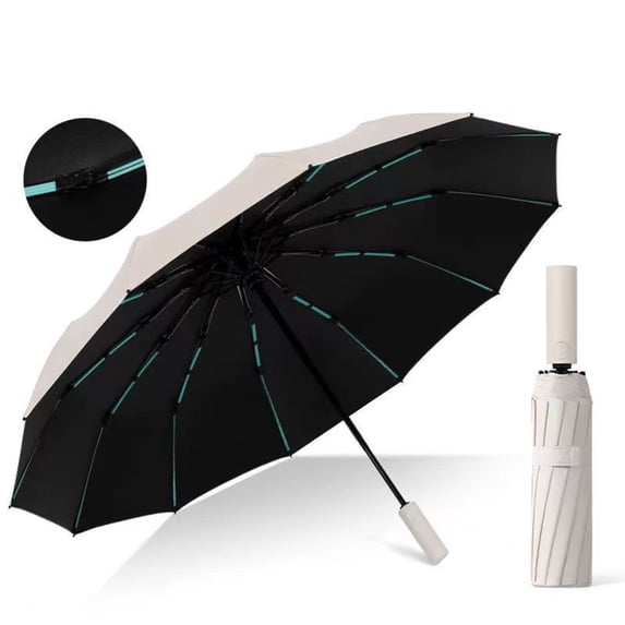 Byujiro Auto Open Close 10-Rib Reinforced Folding Umbrella Sun & Rain Umbrella with Black Rubber Coating Windproof Umbrella for Travel & Commute