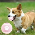 thumbnail image 1 of Byujiro Paw Print Dog Tennis Ball Solid Elastic Ball Interactive Fetch & Chew Toys for Small to Medium Dogs, 1 of 6