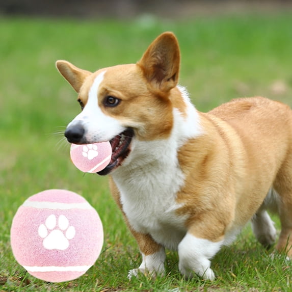 Byujiro Paw Print Dog Tennis Ball Solid Elastic Ball Interactive Fetch & Chew Toys for Small to Medium Dogs