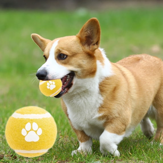 Byujiro Paw Print Dog Tennis Ball Solid Elastic Ball Interactive Fetch & Chew Toys for Small to Medium Dogs