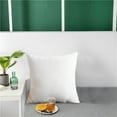 thumbnail image 1 of Byujiro Pillow Insert 15.7x23.6 Inches Soft Breathable Fill for Decorative Throw Pillows, 1 of 9