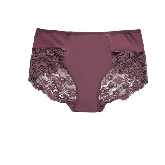 Byworldtasic No Boundaries Plus Size Lace Underwear for Women Silk Lace Mid Rise Breathable Sexy Bikini Panties