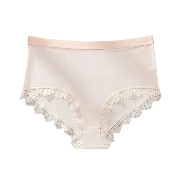 Byworldtasic No Boundaries Plus Size Women's Seamless Lace Underwear Soft Stretch Briefs No-Show Hipster Panties