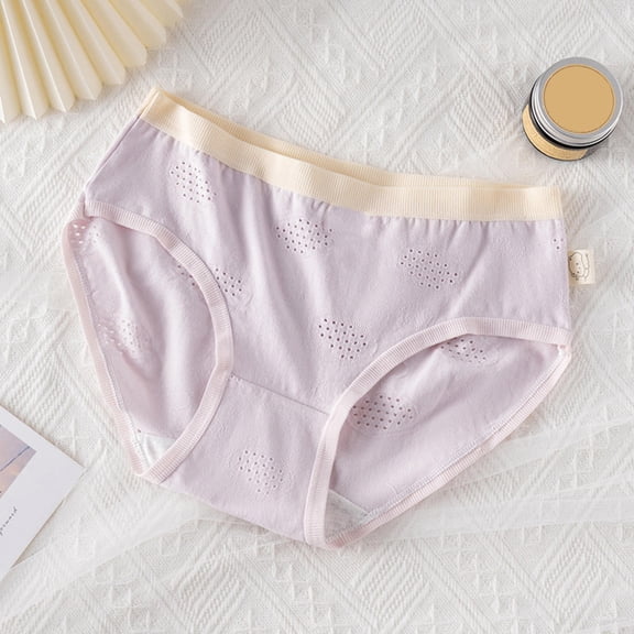 Byworldtasic Womens Cotton UnderwearWomen's Full Coverage Soft Stretch Briefs Soft Stretch Breathable Lightweight Bottoms Purple