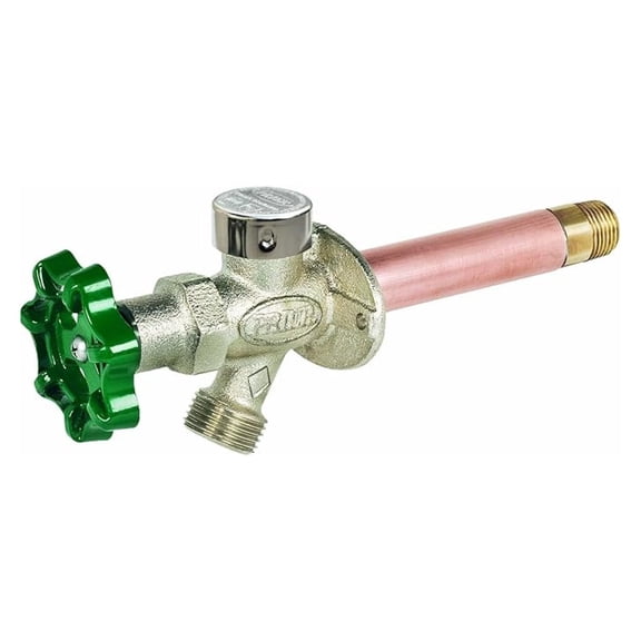 C-144D06 Residential Anti-Siphon Wall Hydrant