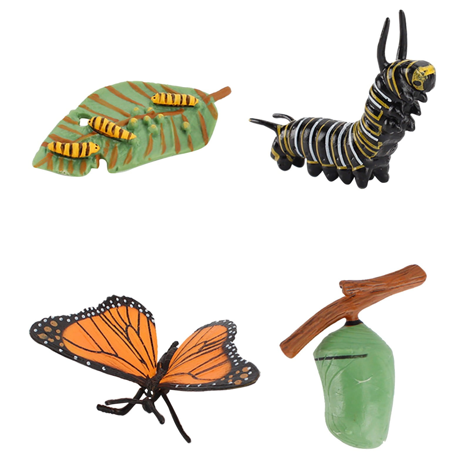 C Animal Growth Cycle Model Set Type C Educational Simulation Toy For