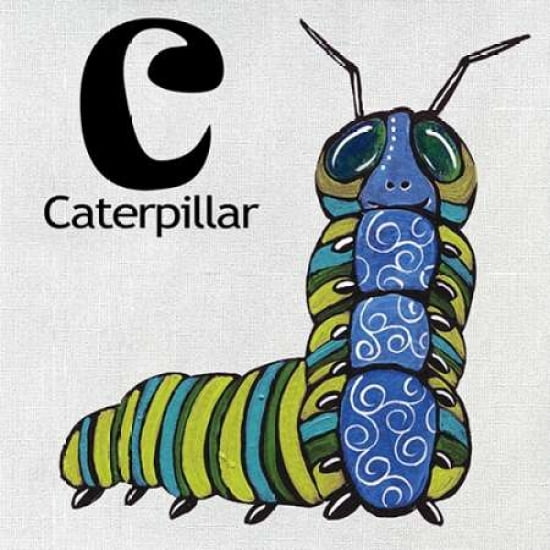C - Caterpillar Canvas Art - Shanni Welsh (24 x 24)