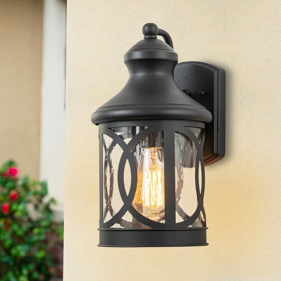 C Cattleya 1-Light Matte Black Outdoor Wall Sconce with Seeded Glass Shade