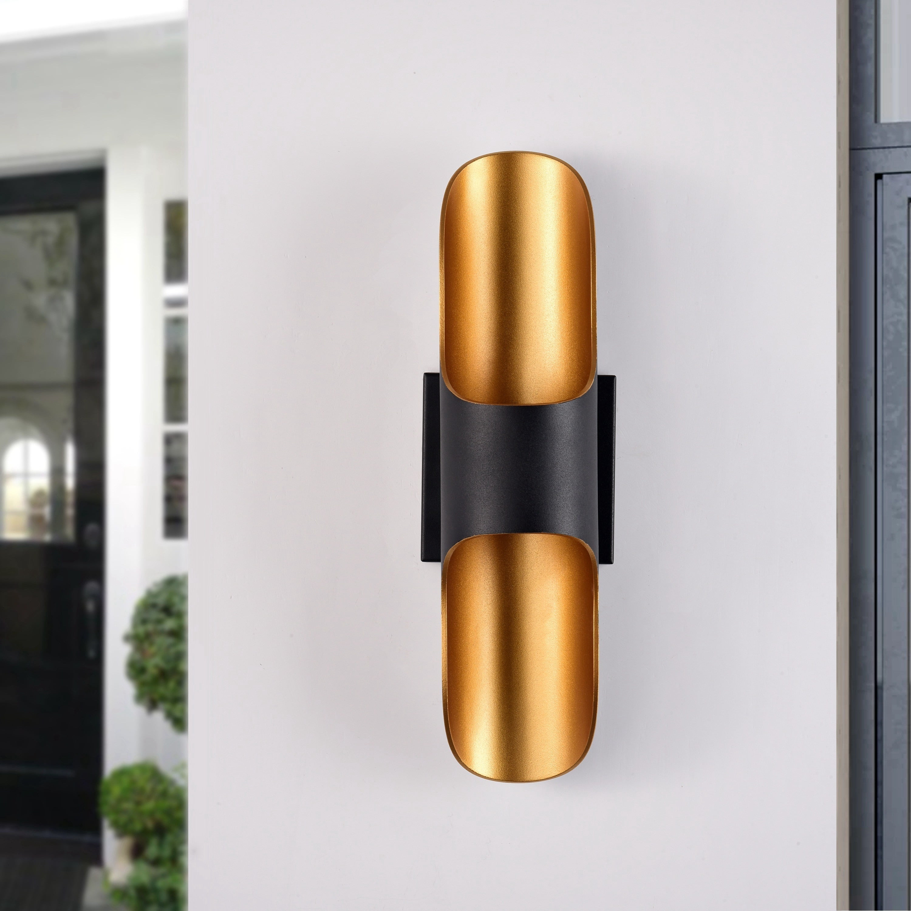 C Cattleya 2-Light Black and Gold LED Outdoor Wall Sconce