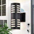 thumbnail image 1 of C Cattleya 2-Light Matte Black Dusk to Dawn Cylinder Outdoor Wall Light Sconce, 1 of 9