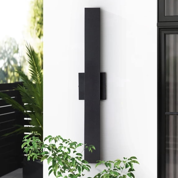 C Cattleya 2-Light Outdoor Wall Light Integrated LED Wall Sconce with Matte Black Finish