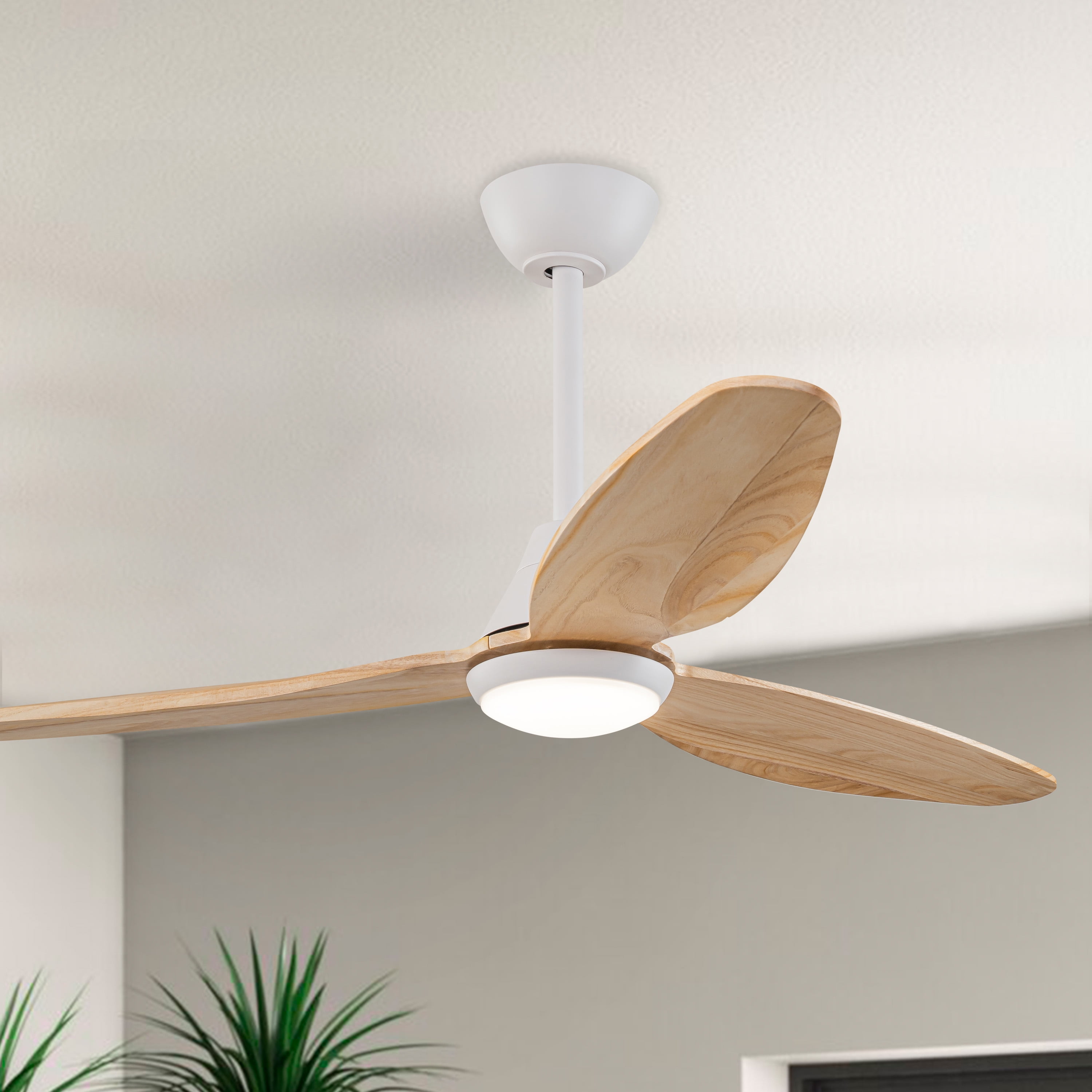 C Cattleya 48 in. 3-Blades Integrated LED White Wood Ceiling Fan with Light and Remote Control
