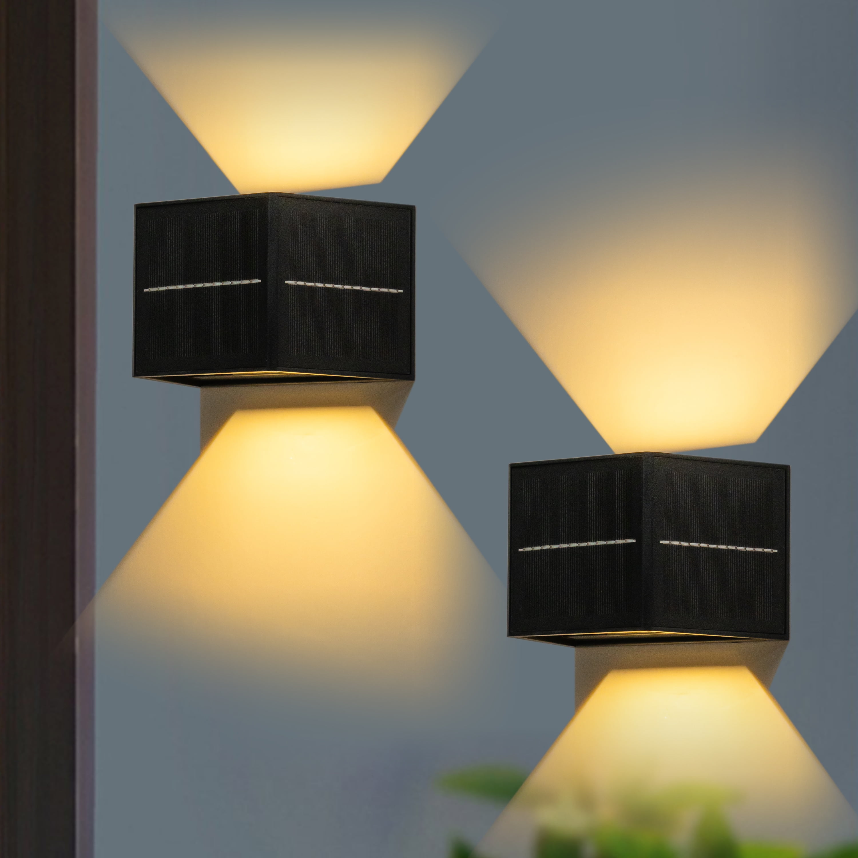 C Cattleya Black LED Solar Dusk to Dawn Outdoor Wall Light