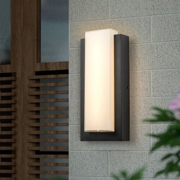 C Cattleya Matte Black LED Outdoor Wall Lantern Sconce with Glass Shade
