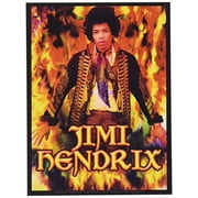 C&D Visionary Jimi Hendrix Sticker, Multi-Colored, for Walls, Doors, Desks, Guitars