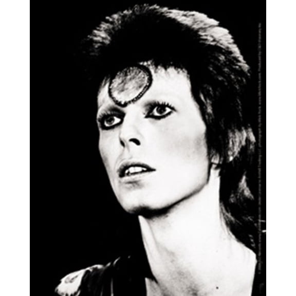 C&D Visionary Licenses Products David Bowie Black and White Sticker